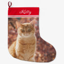 Buscar gatos lindos calcetines navideños Navidades