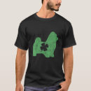 Buscar madre santa ropa 7 º papa