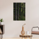 Buscar musgo posters Paisaje