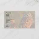 Buscar búhos tarjetas de visita Lindo