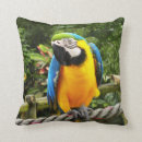 Buscar macaw cojines Fauna