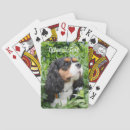 Buscar dog barajas de cartas Animal