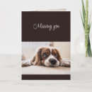 Buscar perro triste tarjetas Tú