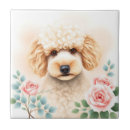 Buscar caniche azulejos Acuarela