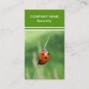 Buscar mariquitas tarjetas de visita Verde