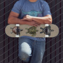 Buscar tortugas tablas de skate Animal