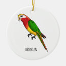 Buscar loro adornos Adorable