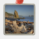 Buscar jamie adornos Parque nacional olímpico