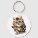 Buscar fluffy llaveros 9 º gata