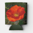 Buscar amapola roja almacenaje alimentos Para todos