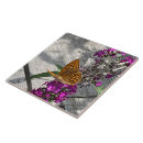 Buscar mariposas azulejos Pintura
