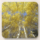 Buscar tronco de árbol posavasos Otoño