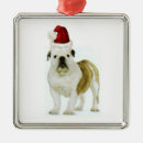 Buscar bulldog adornos Santa