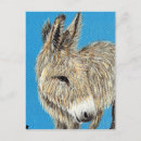 Buscar burros postales Animal de granja