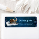 Buscar caracoles remite etiquetas Diversión