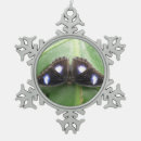 Buscar mariposas azules bonitas adornos Hermoso