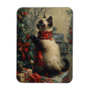 Buscar gatos siameses imanes Adorable