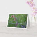 Buscar árboles de pino tarjetas General y unisex