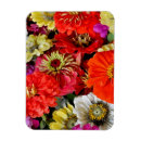 Buscar dalia imanes Flor