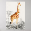 Buscar giraffe arte Naturaleza