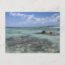 Buscar riviera maya postales Arena