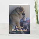 Buscar perro del ganado tarjetas Lindo