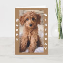 Buscar perro feliz tarjetas Familia