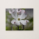 Buscar dogma fotografía Árboles