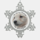 Buscar mascota memoriales adornos Pérdida