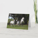 Buscar andaluz tarjetas Raza