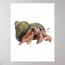 Buscar ermitaño posters Océano