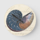 Buscar seashell arte Océano
