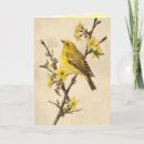 Buscar pájaro amarillo tarjetas Flores
