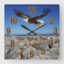 Buscar águilas relojes de pared Águila calva