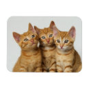 Buscar rostros imanes Adorable