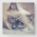 Buscar cara del gato relojes de pared Ojos
