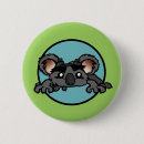 Buscar osos koala chapas Animales