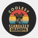 Buscar schnauzer pegatinas Festivo