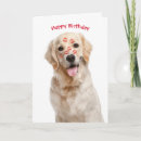 Buscar golden retriever feliz tarjetas General y unisex