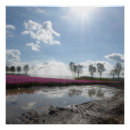 Buscar tulipán rosado posters General y unisex