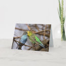 Buscar cochecito tarjetas General y unisex