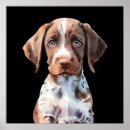 Buscar raza del perro posters Cachorro