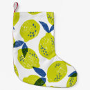 Buscar limones calcetines navideños Ilustracion