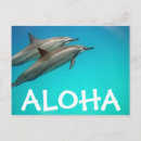 Buscar delfín hawaiano postales Hawaii