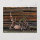 Buscar cono del pino postales Para todos