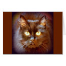 Buscar kittycat Amante del gato