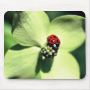 Buscar ladybug alfombrillas de raton Insecto