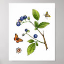 Buscar summer posters Botanical