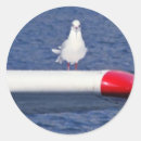 Buscar seagull pegatinas Para todos