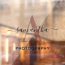 Buscar company fotografía Jefes